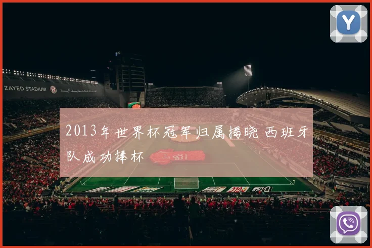 2013年世界杯冠军归属揭晓 西班牙队成功捧杯