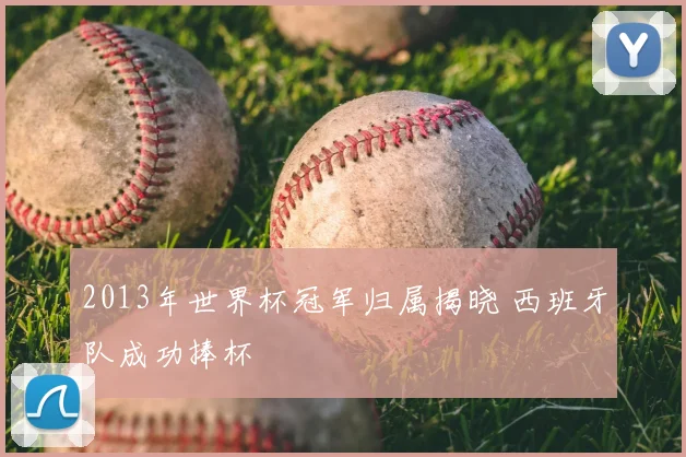 2013年世界杯冠军归属揭晓 西班牙队成功捧杯